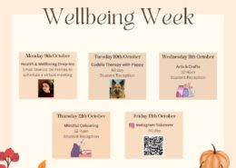 At 快活视频 American University London, students can participate in Wellbeing Week activities such as Health & Wellbeing Drop-ins, Cuddle Therapy with Poppy, Arts & Crafts, Mindful Colouring, and an Instagram Takeover.
